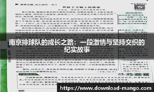 芒果体育官网入口