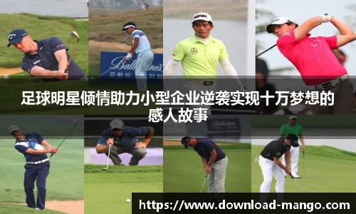 芒果体育官网入口